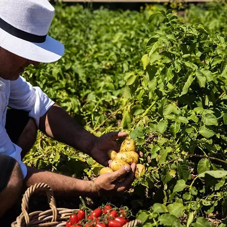 Veronica Luxury In Amalfi Coast 4*